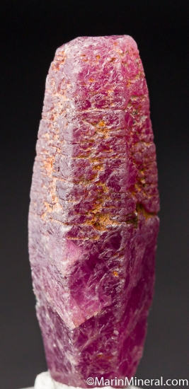 Ruby from Guinea [db_pics/pics/M856b.jpg]