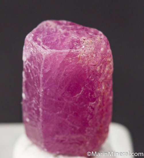 Ruby from Guinea [db_pics/pics/M857d.jpg]