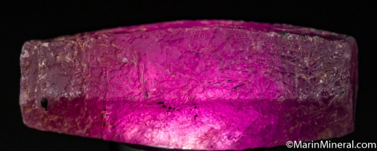 Ruby from Guinea [db_pics/pics/M858d.jpg]