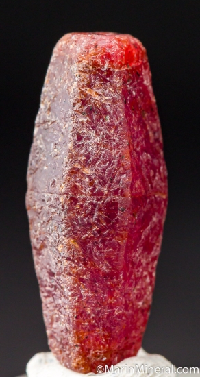 Ruby from Guinea [db_pics/pics/M859c.jpg]