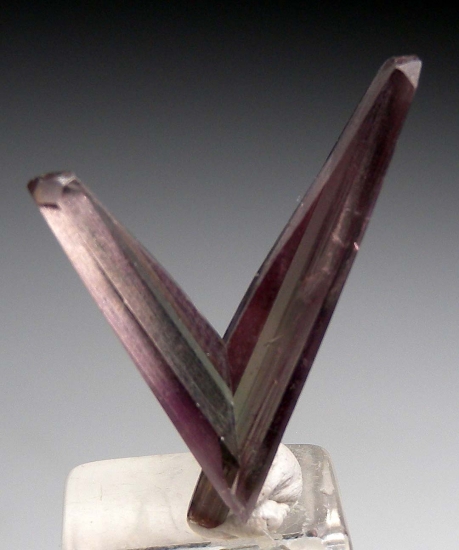 Diaspore from Milas, Mugla Prov., Turkey [db_pics/pics/M861a.jpg]