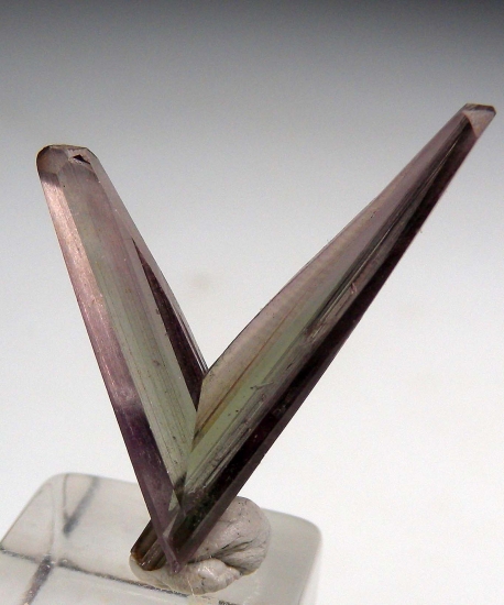 Diaspore from Milas, Mugla Prov., Turkey [db_pics/pics/M861d.jpg]