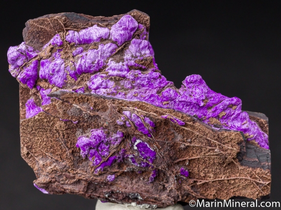 Sugilite from N'Chwanning Mine, Kuruman, South Africa [db_pics/pics/M873a.jpg]