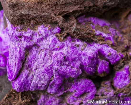 Sugilite from N'Chwanning Mine, Kuruman, South Africa [db_pics/pics/M873d.jpg]