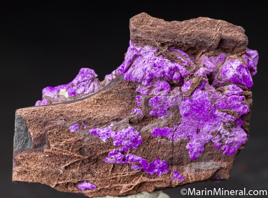 Sugilite from N'Chwanning Mine, Kuruman, South Africa [db_pics/pics/M873e.jpg]