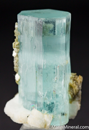 Aquamarine from Shigar Valley, Skardu, Pakistan [db_pics/pics/M901d.jpg]