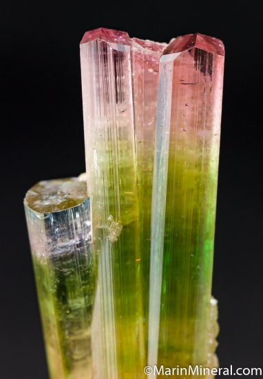 Tourmaline from Paprok, Kamdesh District, Nuristan, Afghanistan [db_pics/pics/M913e.jpg]