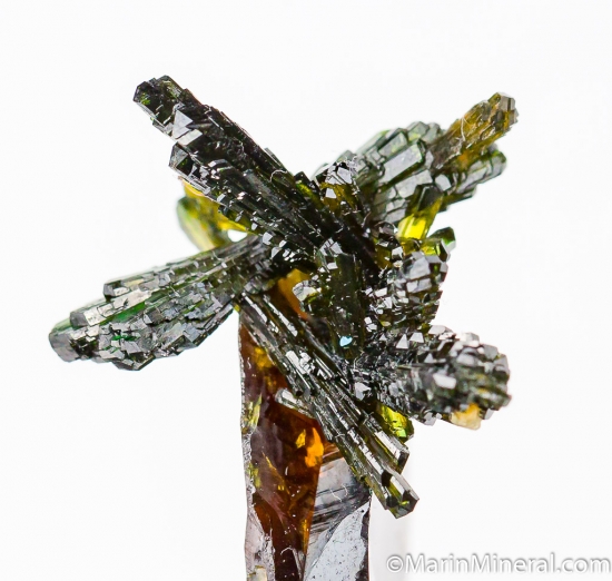 Epidote on Sphene from Tormiq, Skardu, Pakistan [db_pics/pics/M915e.jpg]