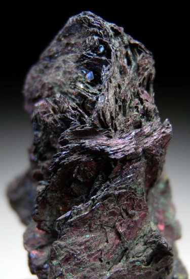 Covellite from Bor Mine, Bor, Central Serbia, Serbia [db_pics/pics/MK168b.jpg]