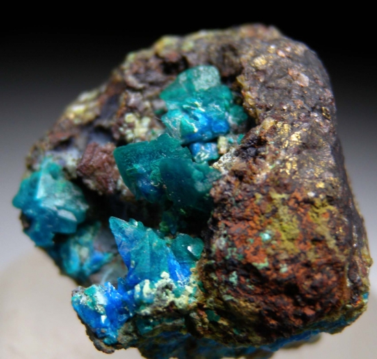 Liroconite, from Wheal Gorland, St Day, Cornwall, England, United Kingdom [db_pics/pics/MS24b.jpg]