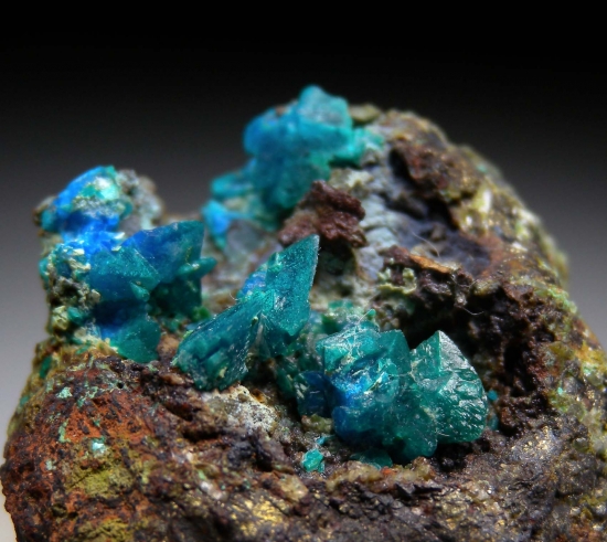 Liroconite, from Wheal Gorland, St Day, Cornwall, England, United Kingdom [db_pics/pics/MS24c.jpg]