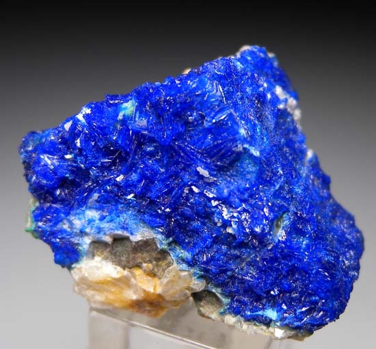 Linarite on Galena from Blanchard Mine, Bingham, New Mexico, USA [db_pics/pics/NMde.jpg]