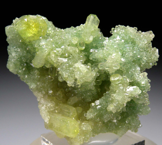 Vesuvianite from Jeffrey Mine, Val-des-Sources, Quebec, Canada [db_pics/pics/P640a.jpg]
