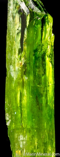 Chrome Diopside from Merelani Hills, Arusha, Tanzania [db_pics/pics/SM156c.jpg]