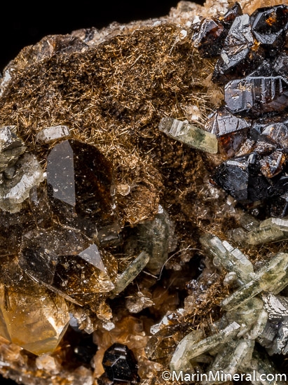 Cassiterite, Apatite, Tourmaline, Arsenopyrite from Panasquiera, Portugal [db_pics/pics/SM179c.jpg]