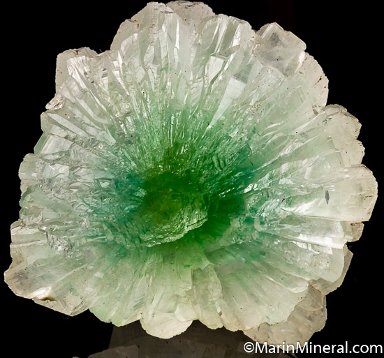 Apophyllite from Aurangabad, Maharashtra State, India [db_pics/pics/SM188b.jpg]