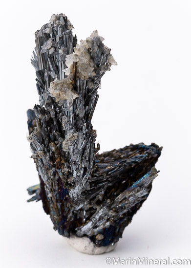Stibnite from San Martin Mine, Sombrerete, Zacatecas, Mexico [db_pics/pics/SM263a.jpg]