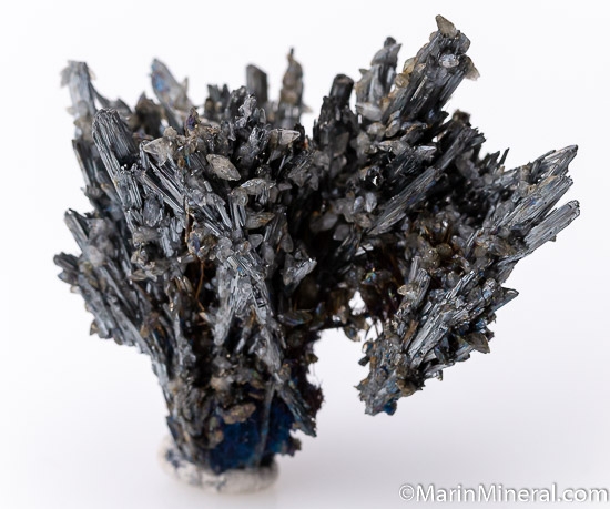 Stibnite from San Martin Mine, Sombrerete, Zacatecas, Mexico [db_pics/pics/SM264a.jpg]