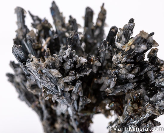 Stibnite from San Martin Mine, Sombrerete, Zacatecas, Mexico [db_pics/pics/SM264d.jpg]
