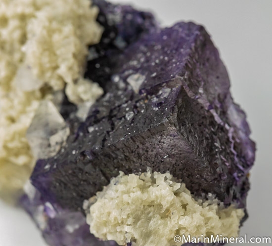 Fluorite from Elmwood Mine, Smith County, Tennessee [db_pics/pics/SM361e.jpg]