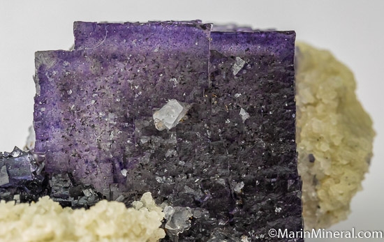 Fluorite from Elmwood Mine, Smith County, Tennessee [db_pics/pics/SM361f.jpg]