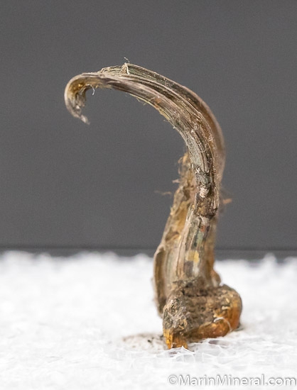 Silver from Kongsberg, Buskerud, Norway (?) [db_pics/pics/SM458a.jpg]