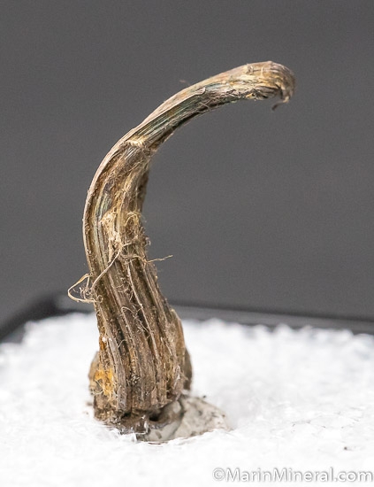 Silver from Kongsberg, Buskerud, Norway (?) [db_pics/pics/SM458b.jpg]