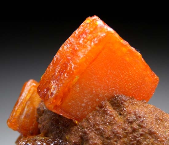 Wulfenite from Los Lamentos, Chihuahua, Mexico [db_pics/pics/SM481b.jpg]