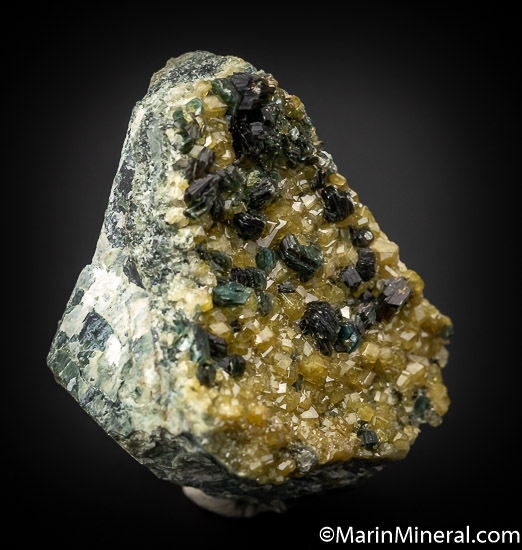 Clinochlore on Andradite var. Topazolite from San Benito Co., California, USA [db_pics/pics/SM492b.jpg]