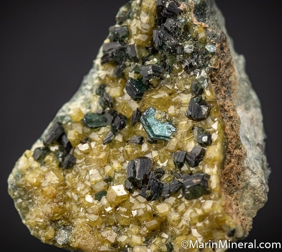 Clinochlore on Andradite var. Topazolite from San Benito Co., California, USA [db_pics/pics/SM492c.jpg]