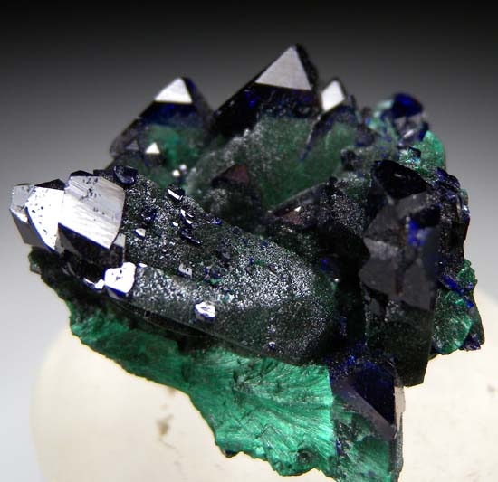 Azurite with Malachite from Milpillas Mine, Cuitaca, Sonora, Mexico [db_pics/pics/SM504b.jpg]