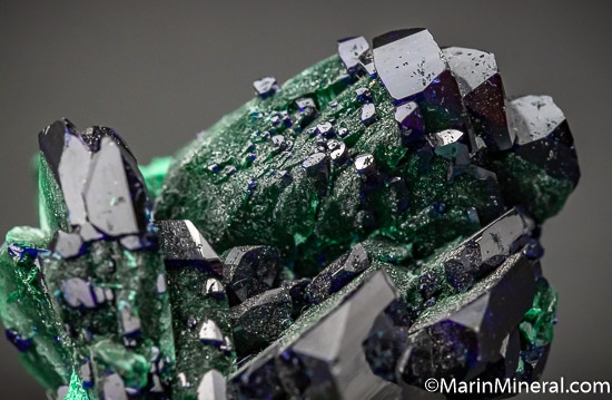 Azurite with Malachite from Milpillas Mine, Cuitaca, Sonora, Mexico [db_pics/pics/SM504d.jpg]