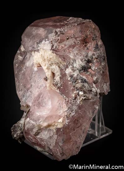 Morganite from Minas Gerais, Brazil [db_pics/pics/SM510b.jpg]