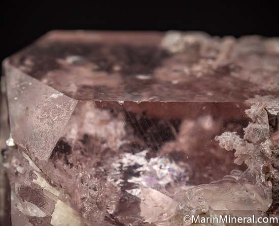 Morganite from Minas Gerais, Brazil [db_pics/pics/SM510g.jpg]