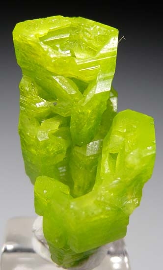 Pyromorphite from Daoping Mine, Guangxi Prov., China [db_pics/pics/SM568a.jpg]