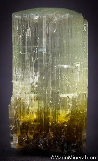 Dravite from Mwajanga, near Komolo, Tanzania [db_pics/pics/SM654b.jpg]