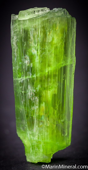 Tremolite from Merelani Hills, Arusha, Tanzania [db_pics/pics/SM659a.jpg]