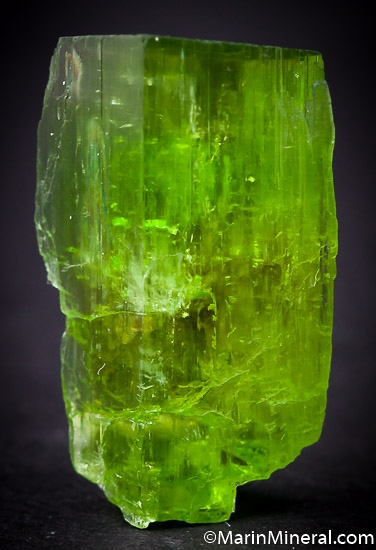 Tremolite from Merelani Hills, Arusha, Tanzania [db_pics/pics/SM660a.jpg]