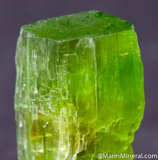 Tremolite from Merelani Hills, Arusha, Tanzania [db_pics/pics/SM660c.jpg]