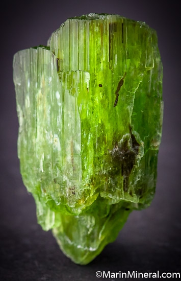 Tremolite from Merelani Hills, Arusha, Tanzania [db_pics/pics/SM666a.jpg]