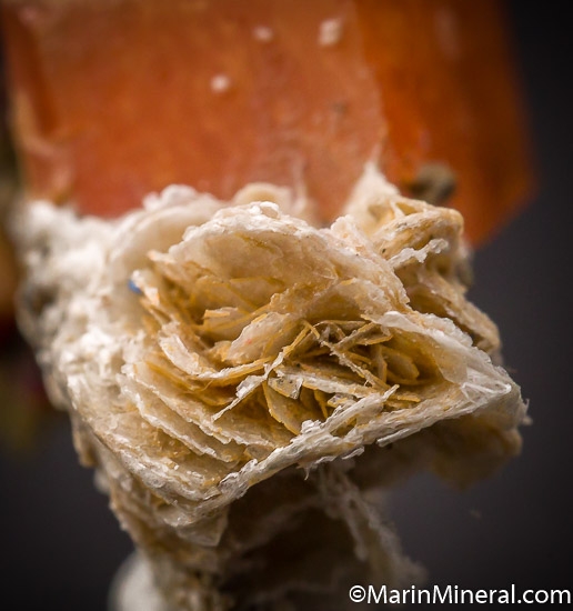 Serandite from Mont Saint-Hilaire, QuÃ©bec, Canada [db_pics/pics/SM780e.jpg]