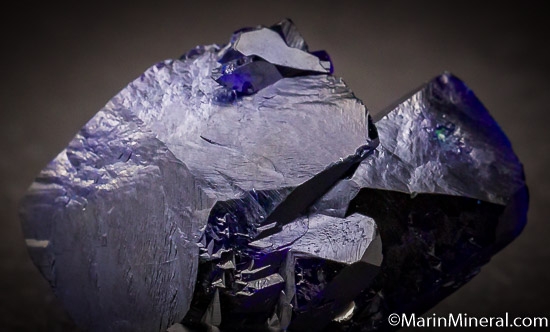 Azurite from Milpillas Mine, Cuitaca, Sonora, Mexico [db_pics/pics/SM818c.jpg]