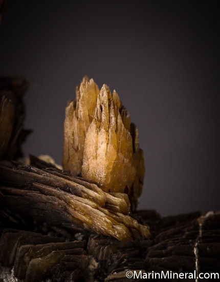 Roweite from Shijiangshan Mine, Inner Mongolia, China [db_pics/pics/SM842d.jpg]