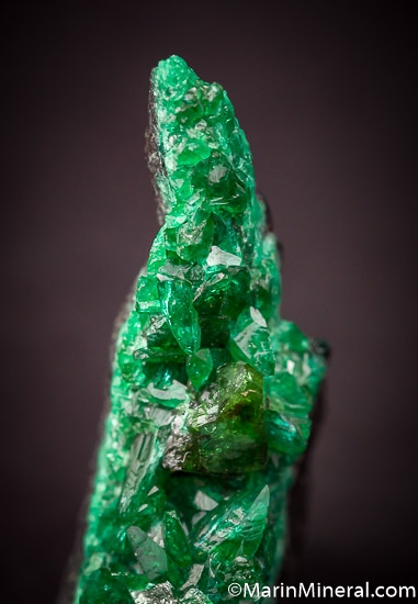 CuproAdamite from Tsumeb, Namibia [db_pics/pics/SM855d.jpg]
