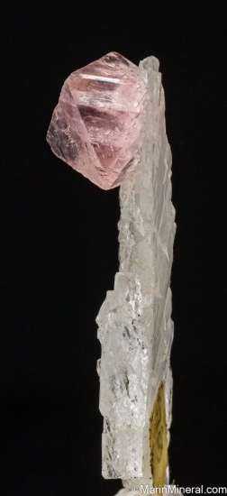 Fluorite on Quartz from Staupuloch, Lower Riental, near Goschenen, Uri, Switzerland [db_pics/pics/ST121c.jpg]