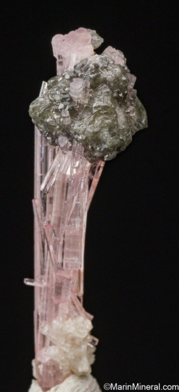 Microlite on Tourmaline from Shengus, Skardu, Pakistan [db_pics/pics/ST125b.jpg]