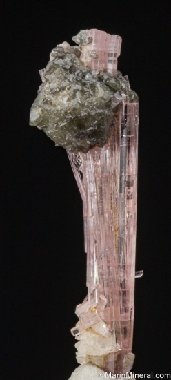 Microlite on Tourmaline from Shengus, Skardu, Pakistan [db_pics/pics/ST125d.jpg]