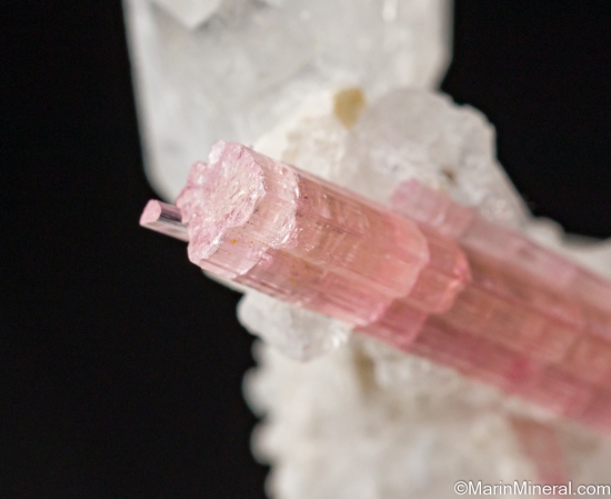 Pollucite on Tourmaline from Shengus, Skardu, Pakistan [db_pics/pics/ST129d.jpg]