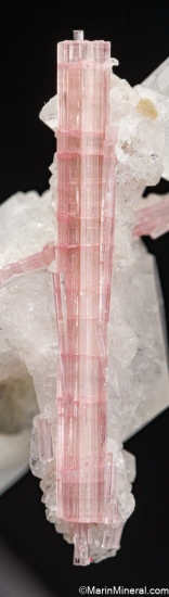Pollucite on Tourmaline from Shengus, Skardu, Pakistan [db_pics/pics/ST129e.jpg]