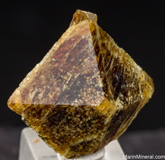 Vesuvianite from Tunnel 36, Portola, Plumas Co., California, USA [db_pics/pics/ST158b.jpg]